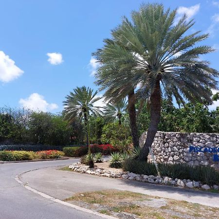 Piscadera Bungalow Lejlighed Willemstad Eksteriør billede